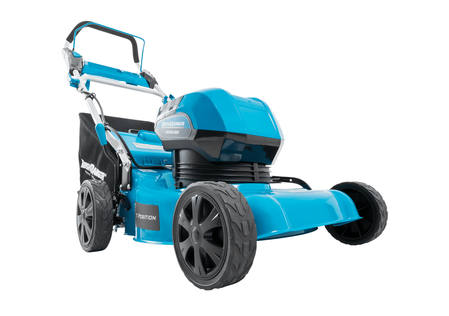 49397 image